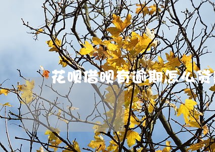 花呗借呗有逾期怎么贷款 花呗借呗有逾期怎么贷款