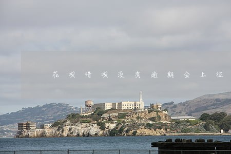 花呗借呗没有逾期会上征信吗 花呗借呗没有逾期会上征信吗