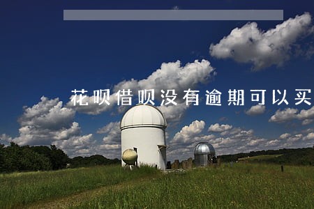 花呗借呗没有逾期可以买车吗 花呗借呗没有逾期可以买车吗