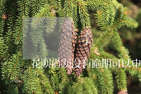 花呗借呗没有逾期可以申请延期吗