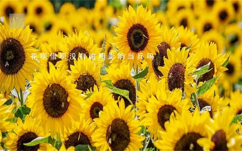 花呗借呗没有逾期影响当兵吗 花呗借呗没有逾期影响当兵吗