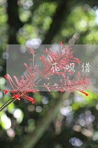 花呗借呗没有逾期被冻结 花呗借呗没有逾期被冻结