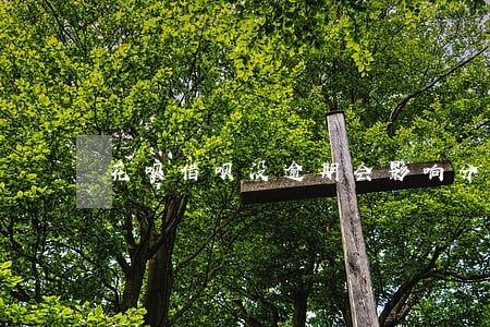 花呗借呗没逾期会影响分期买车吗 花呗借呗没逾期会影响分期买车吗