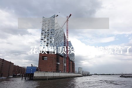 花呗借呗没逾期被冻结了 花呗借呗没逾期被冻结了