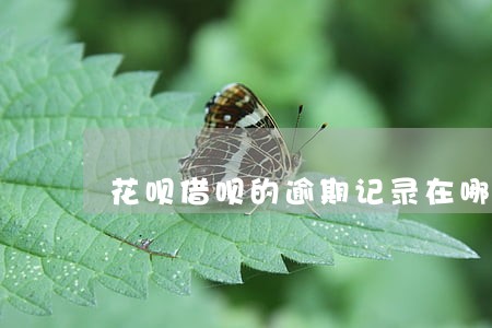 花呗借呗的逾期记录在哪里看 花呗借呗的逾期记录在哪里看
