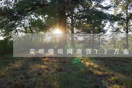花呗借呗网商贷12万逾期 花呗借呗网商贷12万逾期