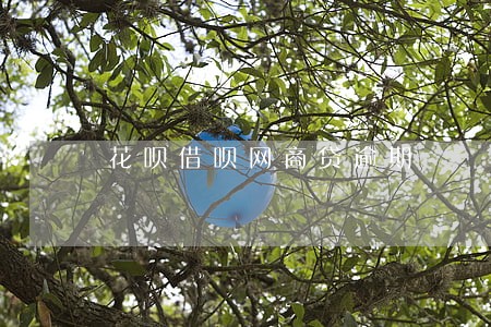 花呗借呗网商贷逾期 花呗借呗网商贷逾期