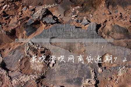 花呗借呗网商贷逾期92000