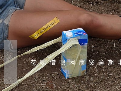 花呗借呗网商贷逾期半年会怎样 花呗借呗网商贷逾期半年会怎样