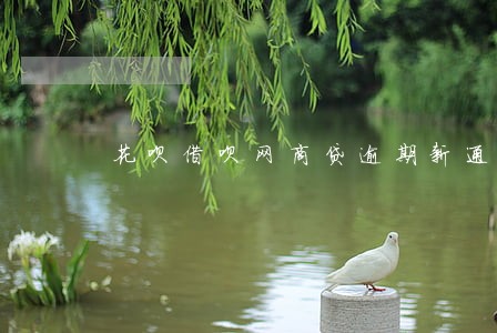 花呗借呗网商贷逾期新通知 花呗借呗网商贷逾期新通知