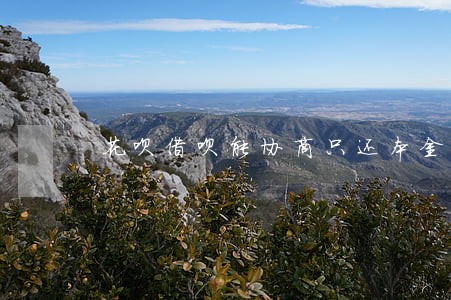 花呗借呗能协商只还本金吗 花呗借呗能协商只还本金吗