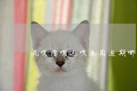 花呗借呗还呗美团逾期哪个最严重 花呗借呗还呗美团逾期哪个最严重