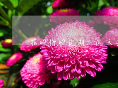 花呗借呗逾期10天会上征信吗