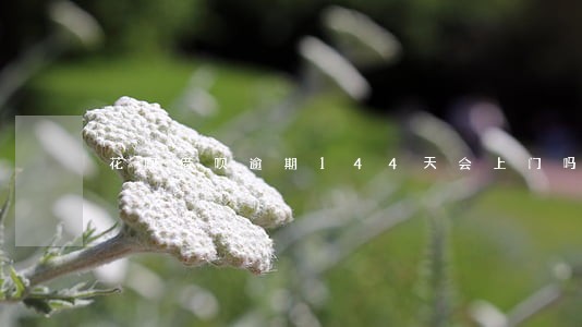 花呗借呗逾期144天会上门吗 花呗借呗逾期144天会上门吗