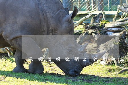 花呗借呗逾期2个月会上门催收吗