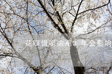 花呗借呗逾期3年会影响找工作吗 花呗借呗逾期3年会影响找工作吗