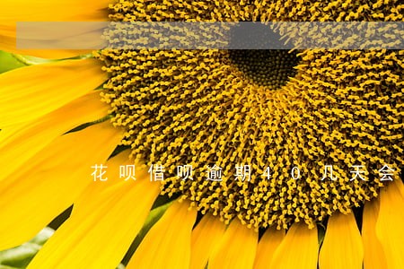 花呗借呗逾期40几天会怎么样 花呗借呗逾期40几天会怎么样
