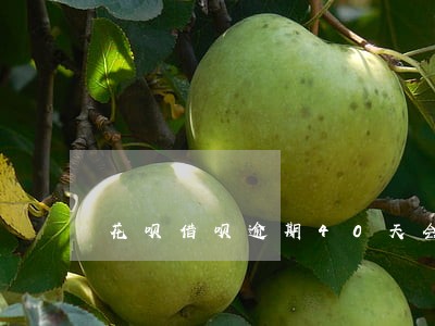 花呗借呗逾期40天会变老赖么 花呗借呗逾期40天会变老赖么