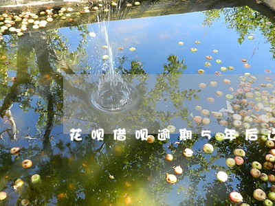 花呗借呗逾期5年后还本金 花呗借呗逾期5年后还本金