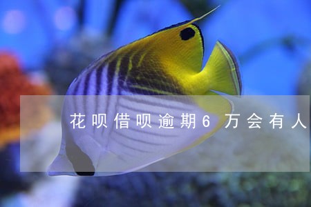 花呗借呗逾期6万会有人上门吗 花呗借呗逾期6万会有人上门吗