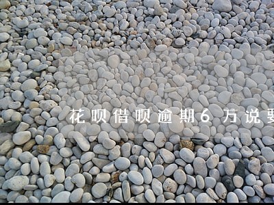 花呗借呗逾期6万说要上门 花呗借呗逾期6万说要上门
