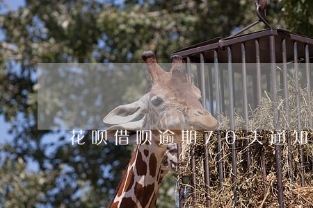 花呗借呗逾期70天通知家里 花呗借呗逾期70天通知家里