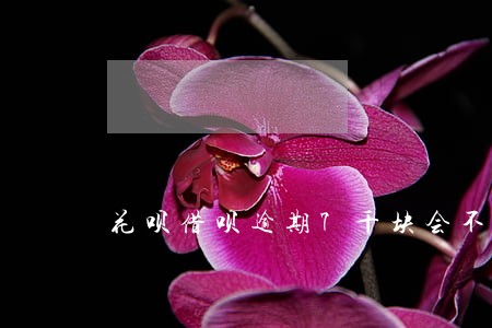 花呗借呗逾期7千块会不会上门 花呗借呗逾期7千块会不会上门