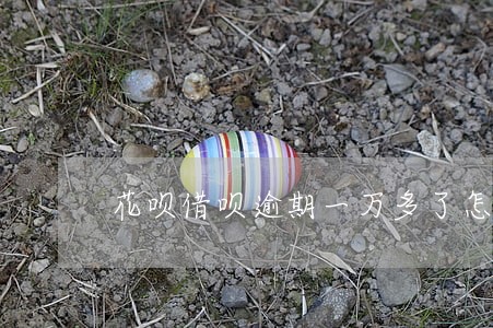 花呗借呗逾期一万多了怎么办 花呗借呗逾期一万多了怎么办