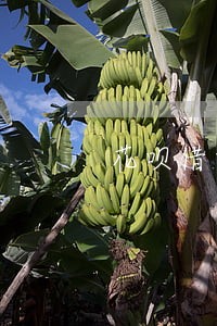 花呗借呗逾期一万多说要去我家 花呗借呗逾期一万多说要去我家