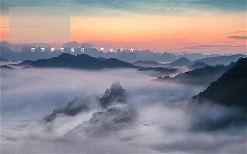 花呗借呗逾期一万怎么办 花呗借呗逾期一万怎么办