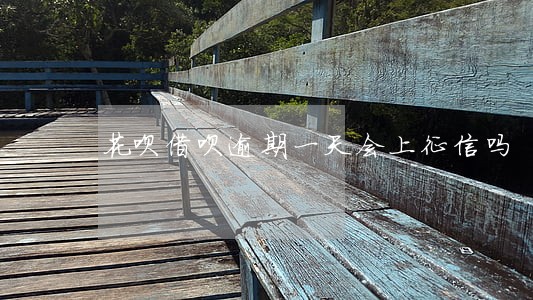 花呗借呗逾期一天会上征信吗 花呗借呗逾期一天会上征信吗