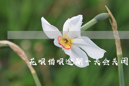 花呗借呗逾期一天会关闭吗 花呗借呗逾期一天会关闭吗