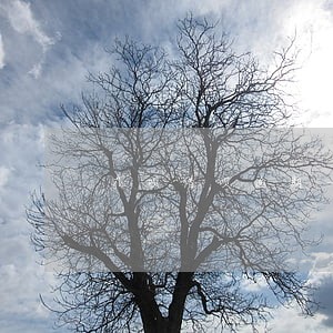 花呗借呗逾期一年上门约谈 花呗借呗逾期一年上门约谈