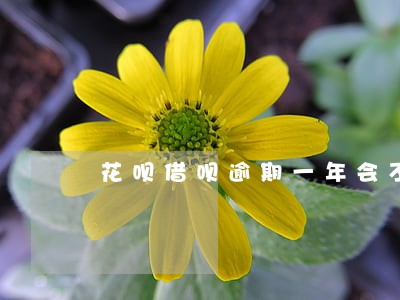 花呗借呗逾期一年会不会被找上门 花呗借呗逾期一年会不会被找上门