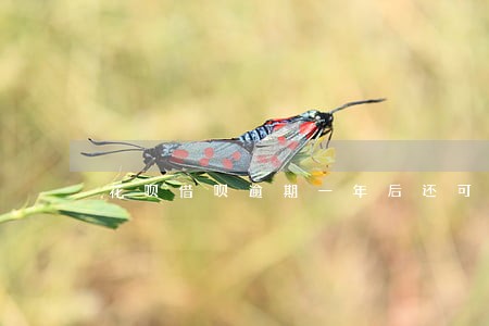 花呗借呗逾期一年后还可以用吗 花呗借呗逾期一年后还可以用吗