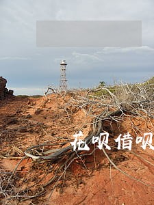 花呗借呗逾期一年多了怎么办 花呗借呗逾期一年多了怎么办