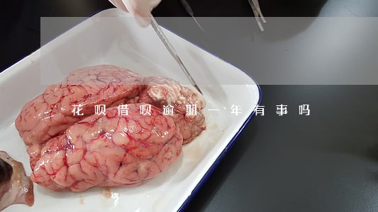 花呗借呗逾期一年有事吗 花呗借呗逾期一年有事吗