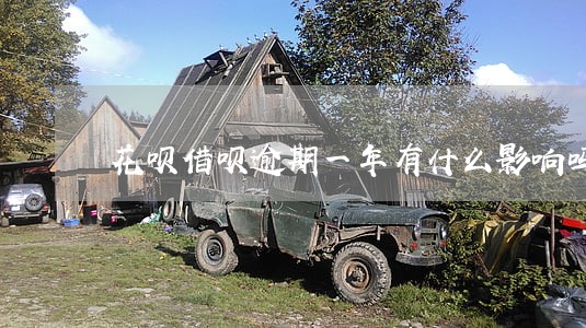 花呗借呗逾期一年有什么影响吗 花呗借呗逾期一年有什么影响吗