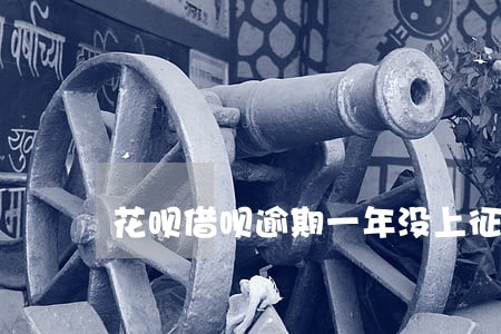 花呗借呗逾期一年没上征信 花呗借呗逾期一年没上征信