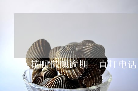 花呗借呗逾期一直打电话 花呗借呗逾期一直打电话