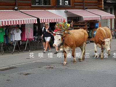 花呗借呗逾期三万会怎么样
