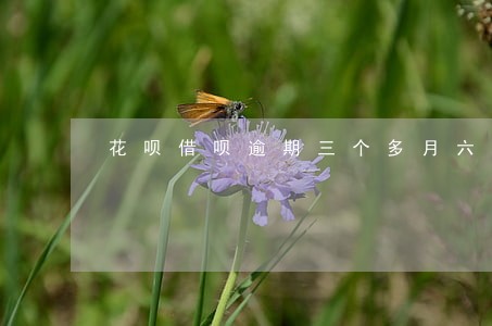 花呗借呗逾期三个多月六千多 花呗借呗逾期三个多月六千多