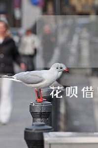 花呗借呗逾期三个月会上门调查吗 花呗借呗逾期三个月会上门调查吗