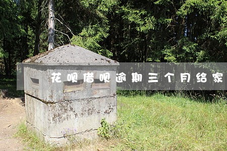 花呗借呗逾期三个月给家里写信 花呗借呗逾期三个月给家里写信
