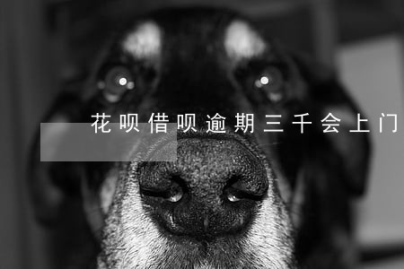 花呗借呗逾期三千会上门吗 花呗借呗逾期三千会上门吗