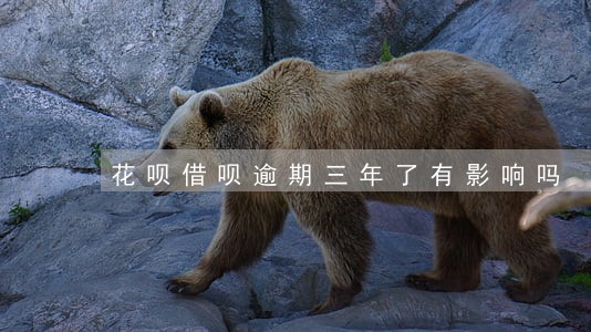 花呗借呗逾期三年了有影响吗 花呗借呗逾期三年了有影响吗