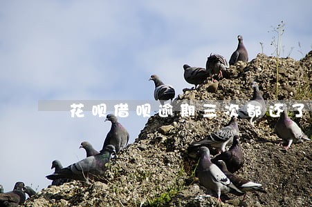 花呗借呗逾期三次都还了会怎样 花呗借呗逾期三次都还了会怎样
