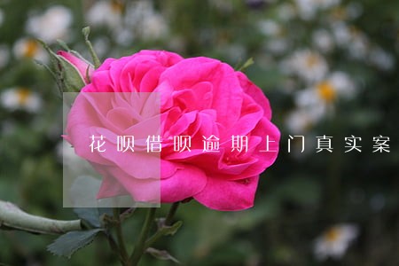 花呗借呗逾期上门真实案例 花呗借呗逾期上门真实案例