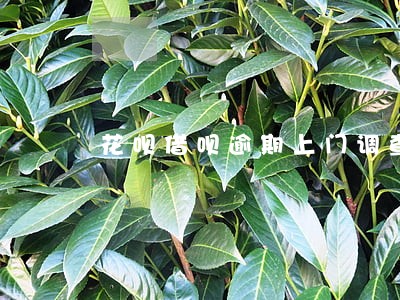 花呗借呗逾期上门调查吗 花呗借呗逾期上门调查吗