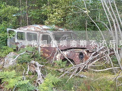 花呗借呗逾期不还后果 花呗借呗逾期不还后果